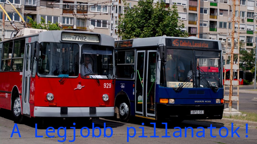 A nyár legjobb pillanatai! I Nyárzáró videó