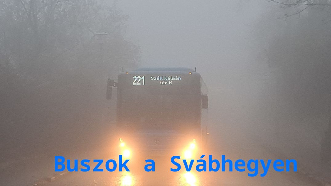 Buszok a Svábhegyen | 2025.11.14.